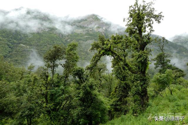 喜马拉雅十大沟谷，峻极天境里的文明秘道  第109张