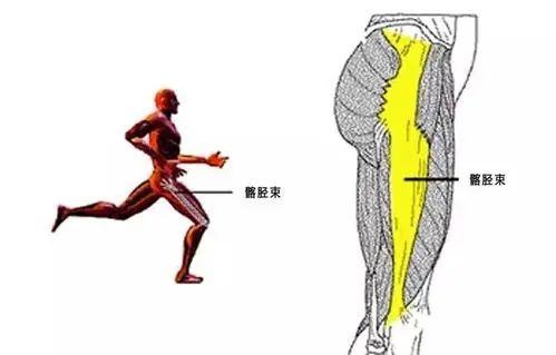 腰腿痛的病因与修复