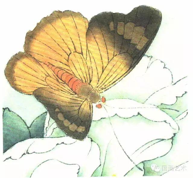 图文教程：李晓明工笔蝴蝶设色步骤示范，快收藏！