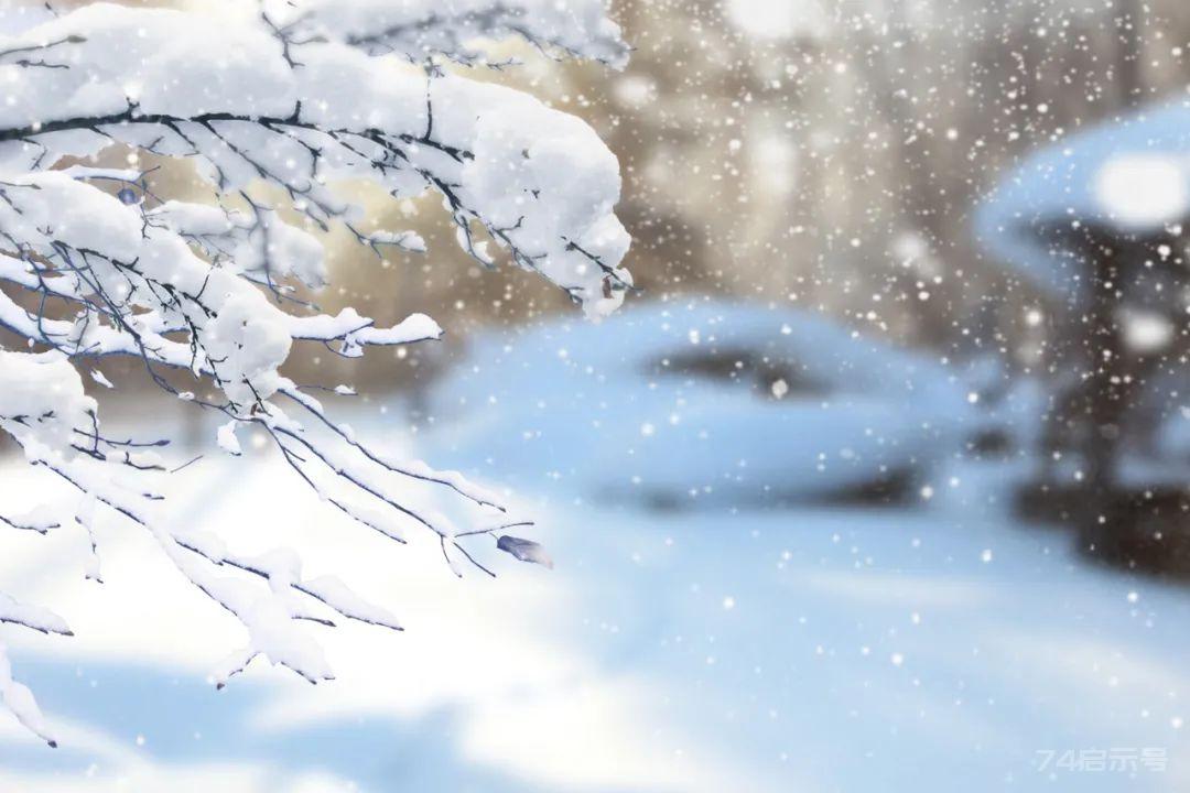 12句冬雪诗词，浪漫有情调，治愈了整个冬天