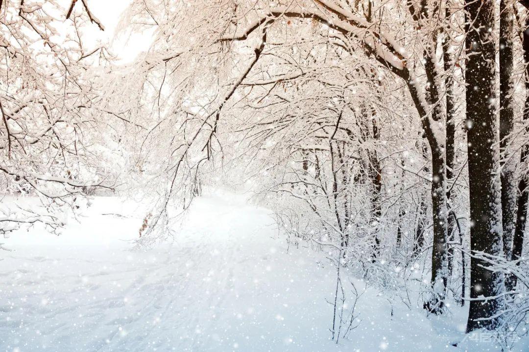 12句冬雪诗词，浪漫有情调，治愈了整个冬天