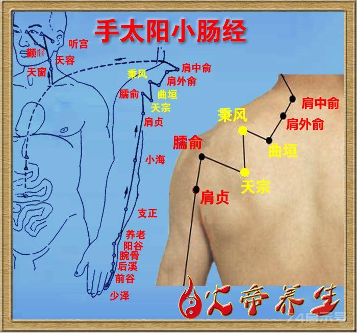 风寒湿痹型肩关节周围炎（五十肩）取穴法