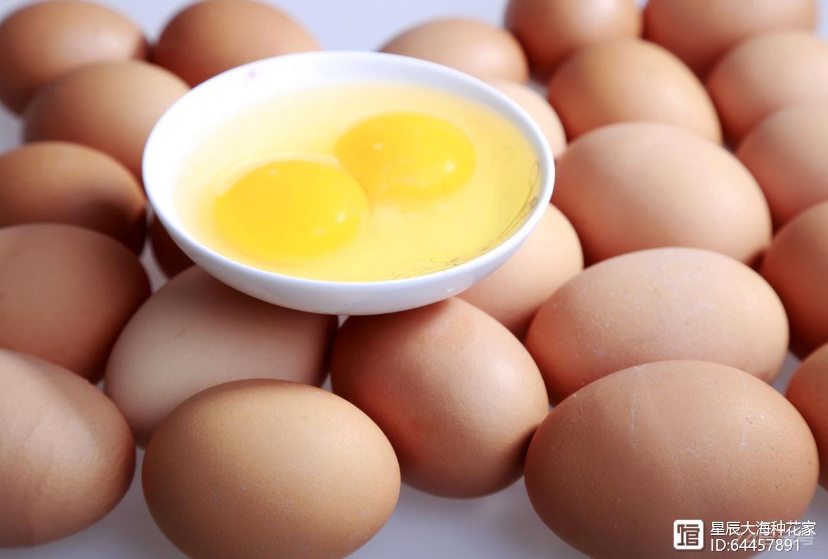 现在买鸡蛋，真要那么小心了吗？激素蛋到底是怎么回事？