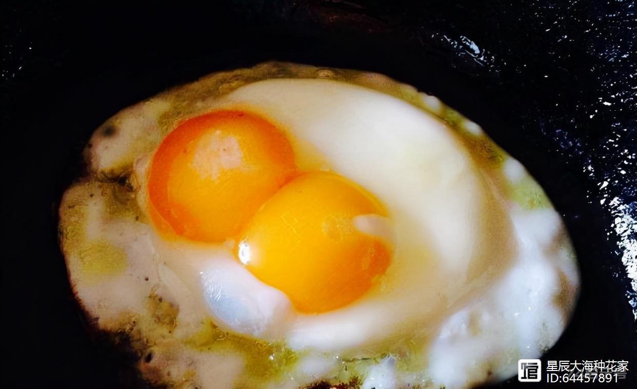 现在买鸡蛋，真要那么小心了吗？激素蛋到底是怎么回事？