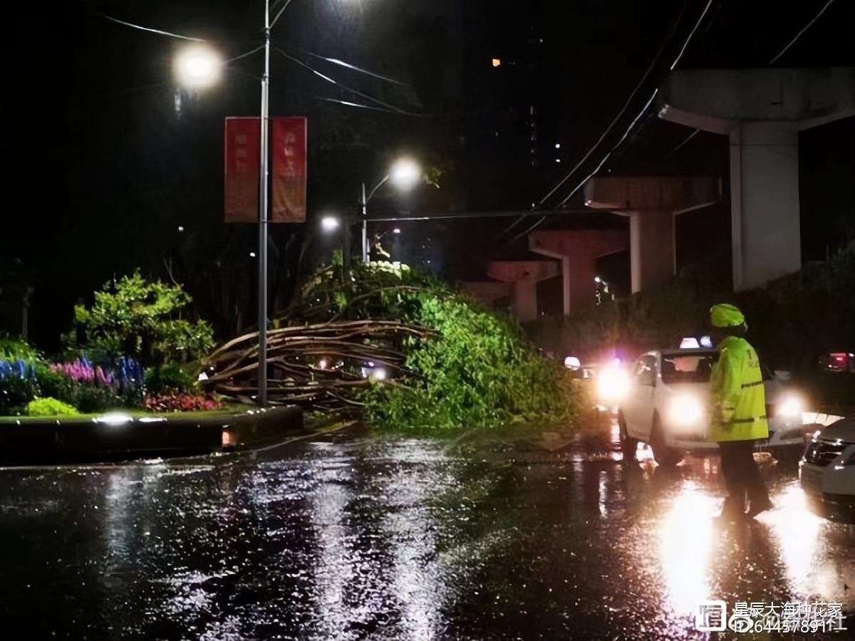 重庆风雹灾害致6898人受灾，局地风力达11级，究竟是怎么发生的？