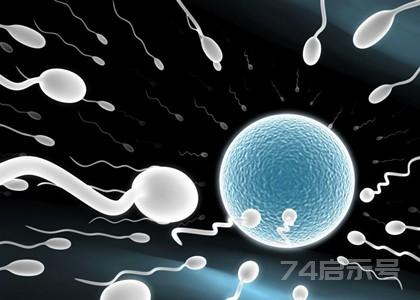 精子成活率多少正常 精子成活率低怎么办>百病问答