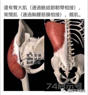 【肌筋膜结构力学原理在伤科的临床应用】讲员：江山红 医师 主持：郭建安 医师
