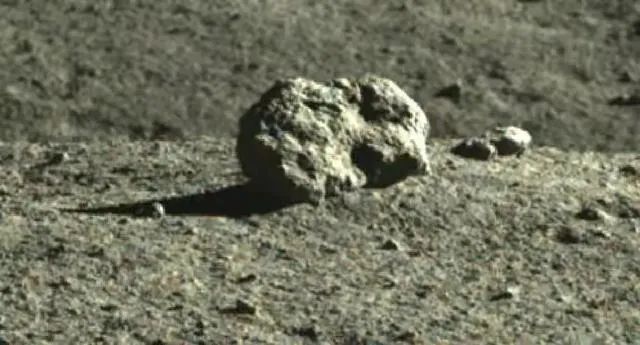 月球上出现“神秘小屋”，玉兔二号抵近10米观察，发现真的是一只玉兔！