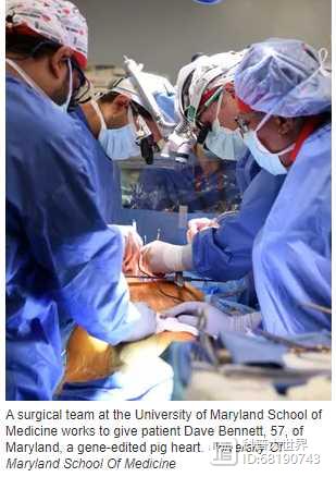 重大医学成就：美医学家成功给人移植了猪心脏，还避免了排异反应