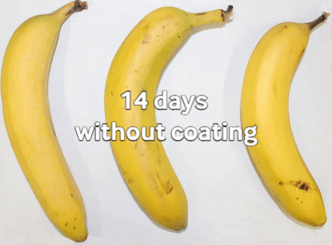 大规模取代塑料的希望！胡萝卜“摇身一变”，香蕉保质期延长7天