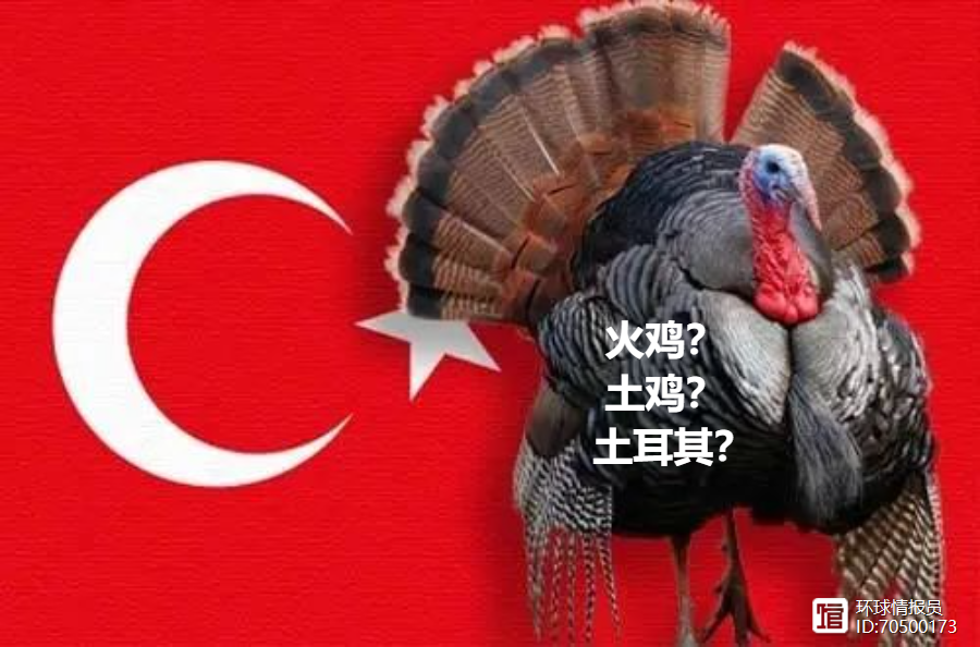 再见“土鸡”！土耳其英文名将从Turkey改为Turkiye？