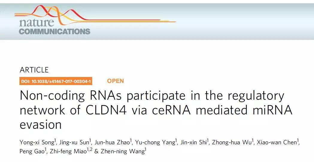 文献解读|胃癌ceRNA的功能机制研究