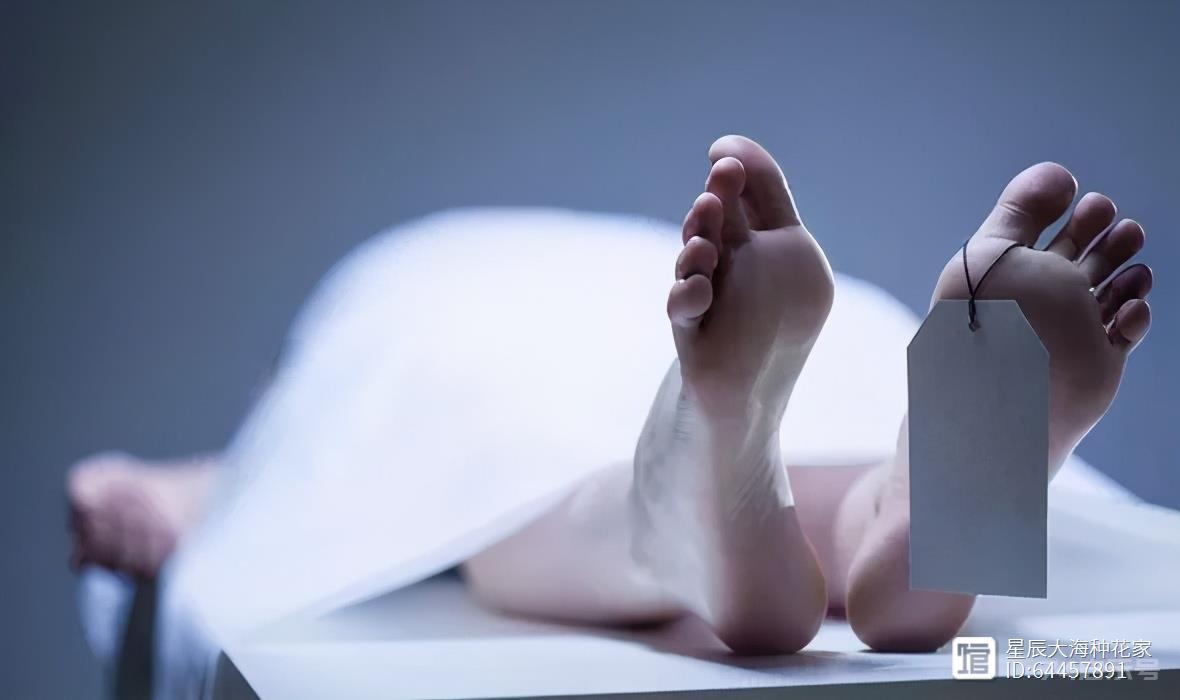 人死后一百天内：如果不进行任何处理，尸体会发生什么变化？