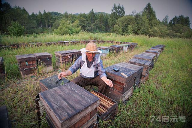 养蜂中，对蜂箱木质腐朽如何采取措施保护？