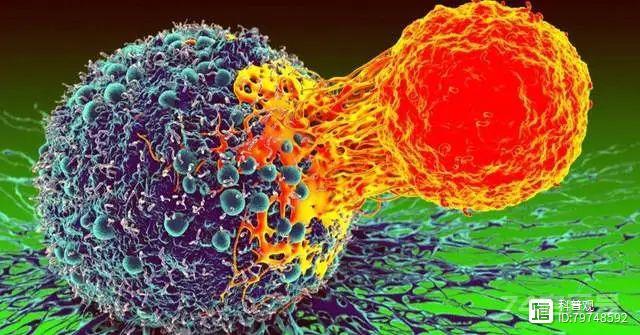 癌症会传染吗？科学家疯狂实验：将癌细胞注入人体，后来怎样了？