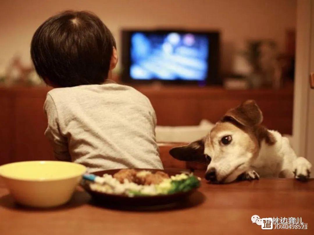 别禁止孩子看电视，有好处，心理学家：不仅是记忆效果更好