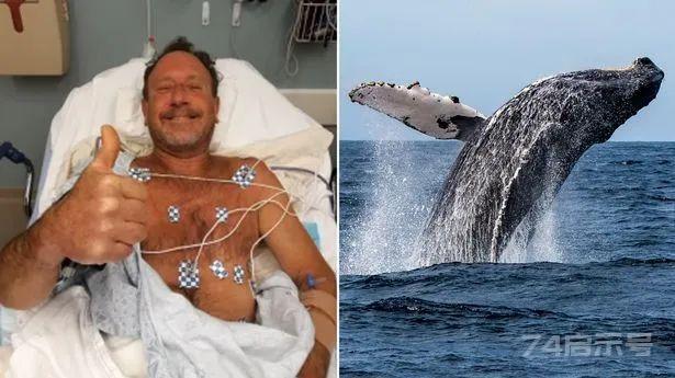 潜水员被座头鲸生吞，幸亏他没在对方食谱上，最终得救了