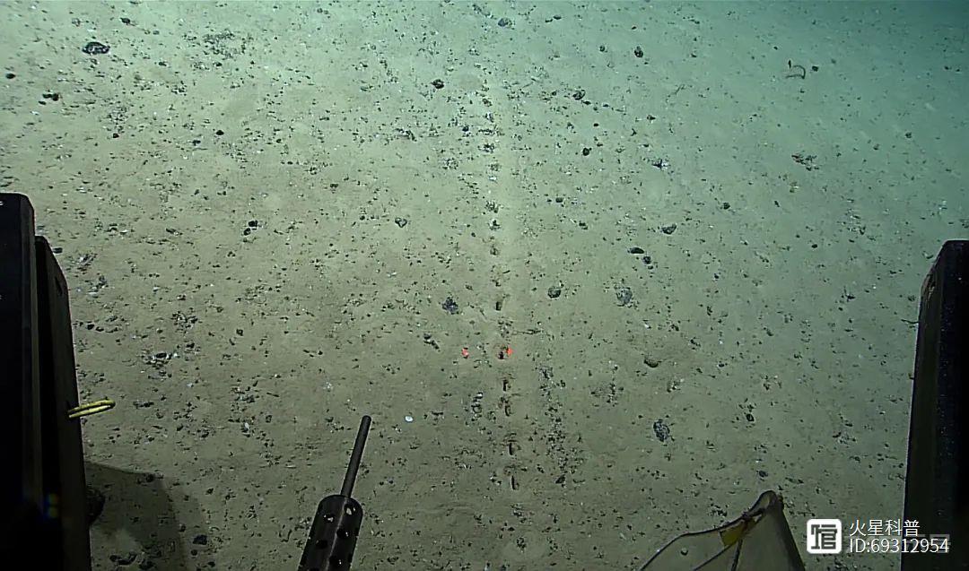 大西洋2700米深海底，科学家发现“完美排列”的洞，是谁留下的？