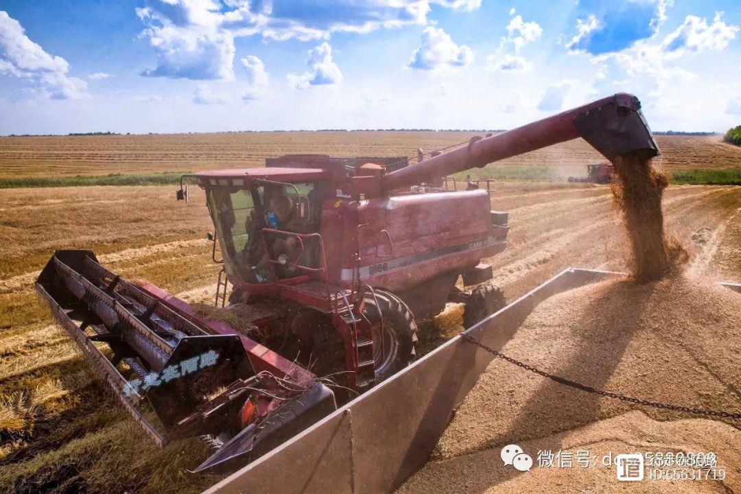 乌克兰耕地有多珍贵？年出口一亿吨农产品，能养活半个非洲
