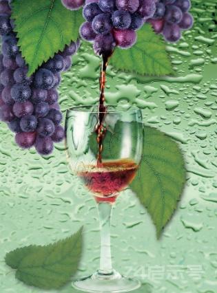 正是酿葡萄酒好时节，自酿葡萄酒究竟有没有对人体有害的物质？