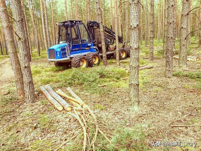 俄罗斯的木材，如何从西伯利亚的原始森林深处，千里迢迢来到中国