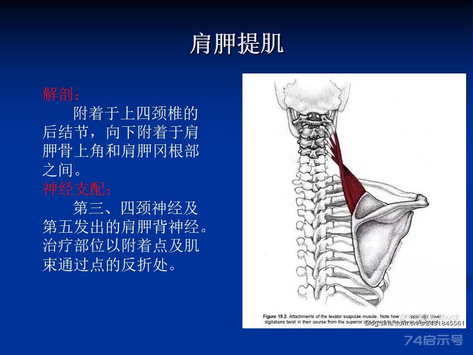 精彩解读：卒中肩痛原因分析与康复