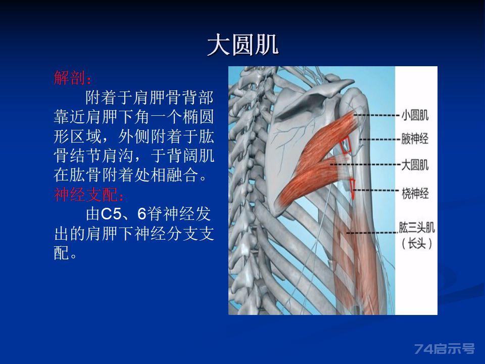 精彩解读：卒中肩痛原因分析与康复