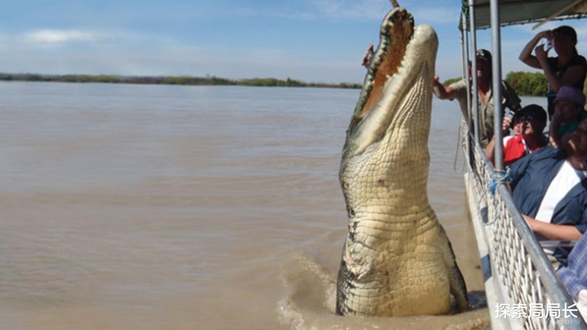 世界上最强大的10种鳄鱼，体重超过1000公斤