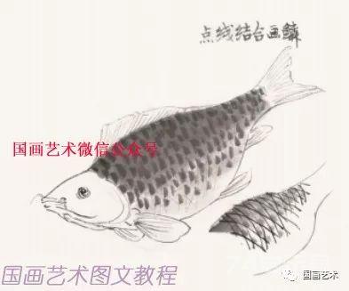 图文教程：各种鱼的写意画法，祝大家连年有余！