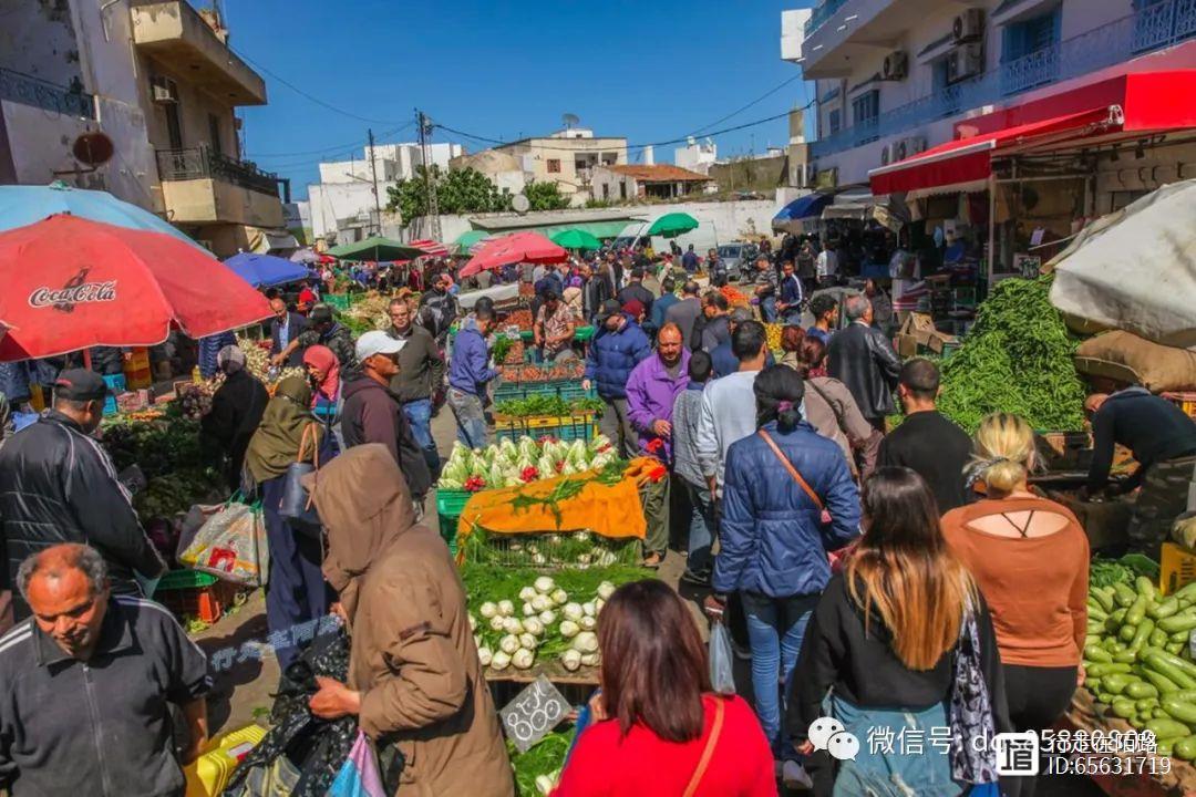 非洲突尼斯：不太一样的穆斯林国家，面积小人口少物价低
