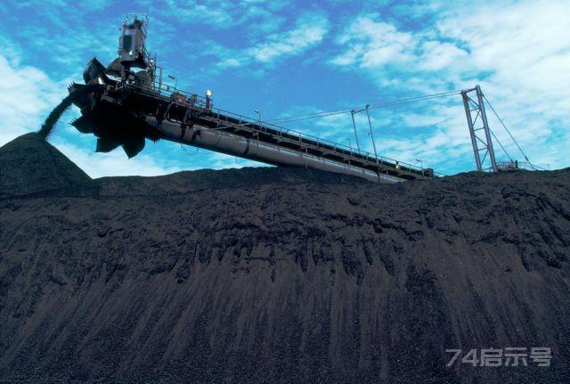 100多米厚的煤层，是如何形成的？远古地球哪来那么多植物？