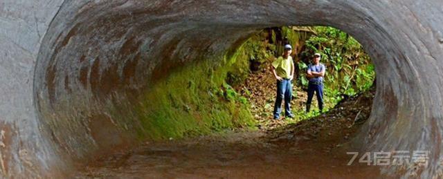 巴西发现1.3万年前“隧道”，科学家研究后确认：建造者不是人类
