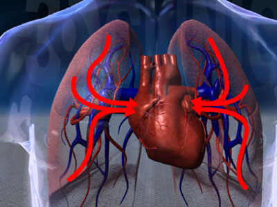 心脏病患者的食疗禁忌 引起心脏病的原因有哪些