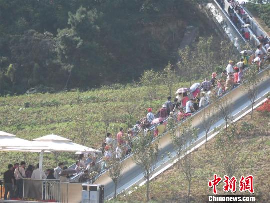 长江三峡游轮游客人数五年来首增(图)