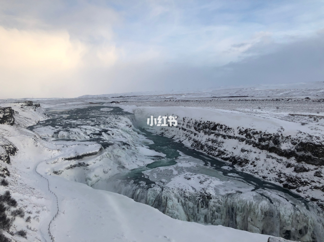 2016年邮轮北极冰岛旅游_冰岛旅游价格_冰岛旅游 费用