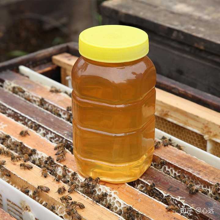 喝蜂蜜生姜水会长胖吗_正确喝蜂蜜的时间是什么时候_蜂蜜水什么时候喝