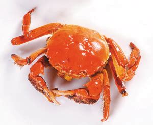 蒸螃蟹是怎么放,清蒸螃蟹的做法
