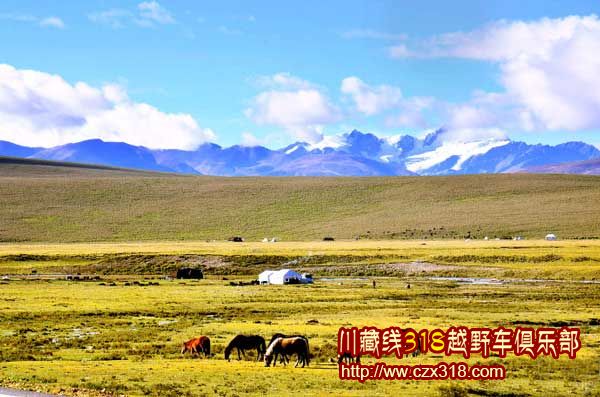 川藏南线自驾游游记——毛垭大草原