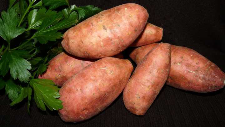 红薯是抗癌之王有科学依据吗？