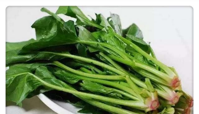 谷雨养生吃什么(谷雨养生的食谱)图5