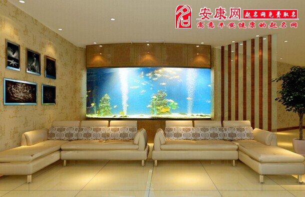 鱼缸的风水_鱼缸摆放风水迷信吗_鱼缸与风水