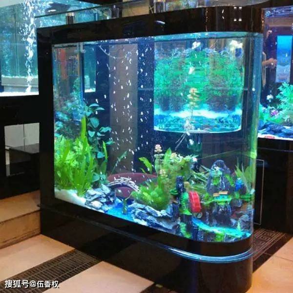 鱼缸摆放风水迷信吗_鱼缸与风水_鱼缸的风水