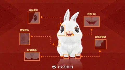 世界上最早的兔子长啥样？
