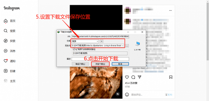 什么软件可以下载网页视频 如何下载网页视频到本地