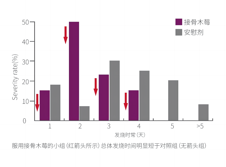 营养课堂 | 带您了解“免疫先锋”——接骨木莓