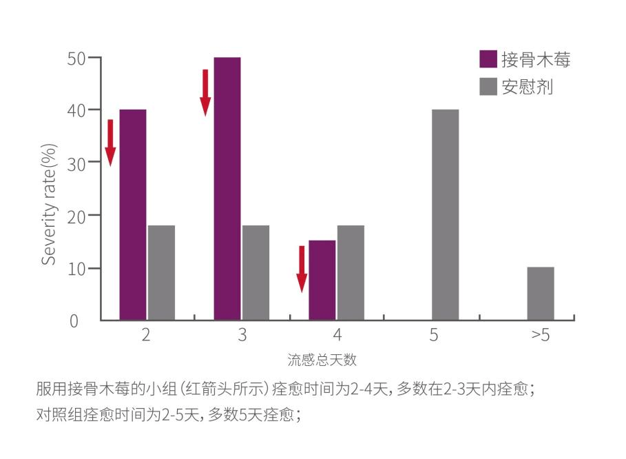 营养课堂 | 带您了解“免疫先锋”——接骨木莓