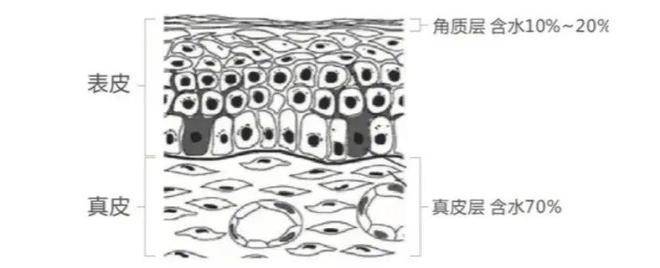 被骂又老又土的旺旺，到底是怎么变美的？