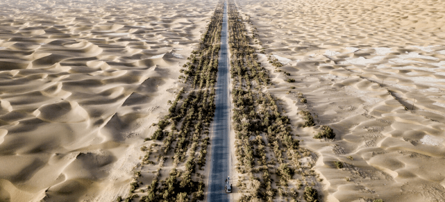 这条沙漠中的公路，为保证正常运行，每天会有人给路旁的树浇水