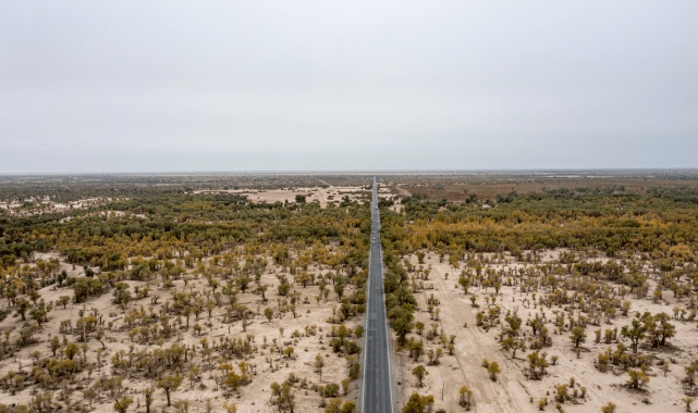 这条沙漠中的公路，为保证正常运行，每天会有人给路旁的树浇水