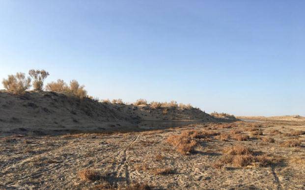 新疆乌鲁木齐东道海子，古尔班通古特沙漠南缘的绿色屏障